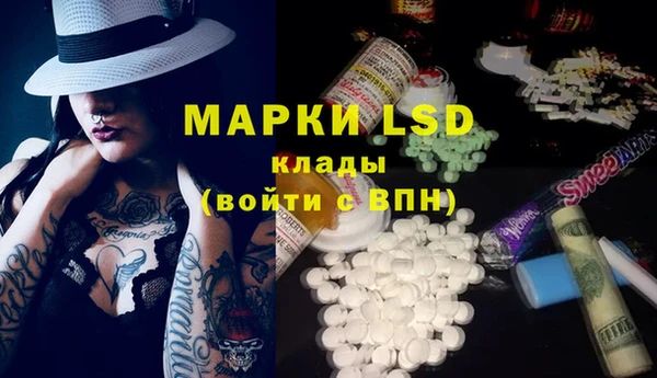 ГАЛЛЮЦИНОГЕННЫЕ ГРИБЫ Вязьма