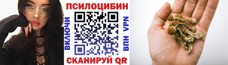 где купить наркотик  Щёлково  Галлюциногенные грибы Psilocybine cubensis 